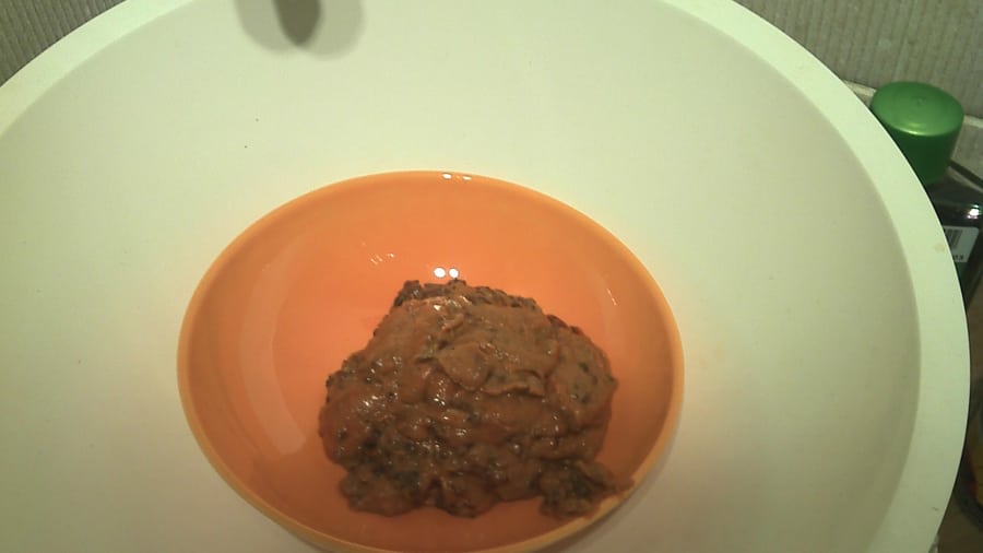 Bei schlechten Food-Fotos laufen die Gäste davon!