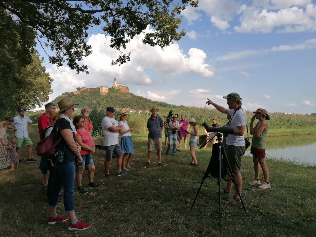 Vogelparadies Güssinger Teiche: Jetzt die ersten Birdwatching Tage erleben!