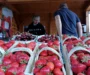 Gesundheitsbooster aus Wiesen: Die Ananas-Erdbeeren sind da!